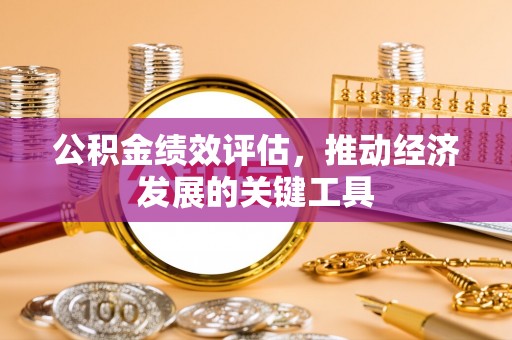 双河公积金绩效评估，推动经济发展的关键工具