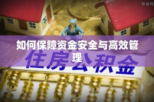 双河如何保障资金安全与高效管理