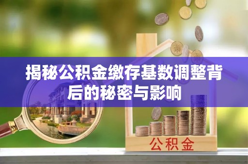 双河揭秘公积金缴存基数调整背后的秘密与影响