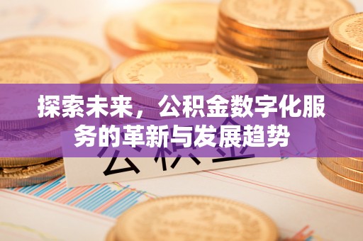 双河探索未来，公积金数字化服务的革新与发展趋势