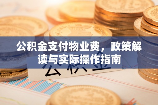 双河公积金支付物业费，政策解读与实际操作指南