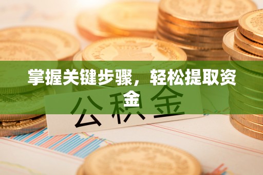 双河掌握关键步骤，轻松提取资金