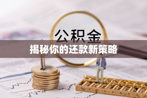 双河揭秘你的还款新策略