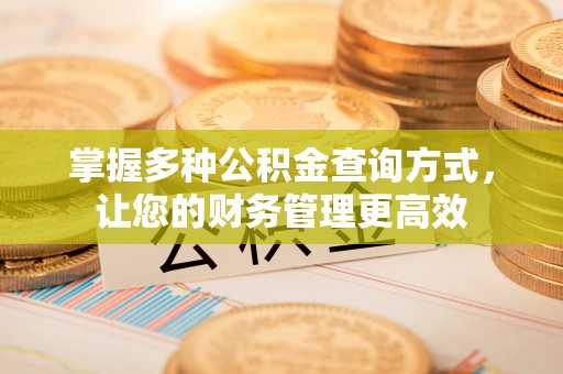 双河掌握多种公积金查询方式，让您的财务管理更高效