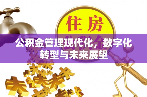 双河公积金管理现代化，数字化转型与未来展望
