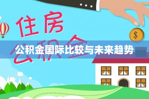 双河公积金国际比较与未来趋势