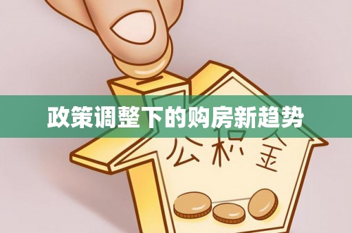 双河政策调整下的购房新趋势