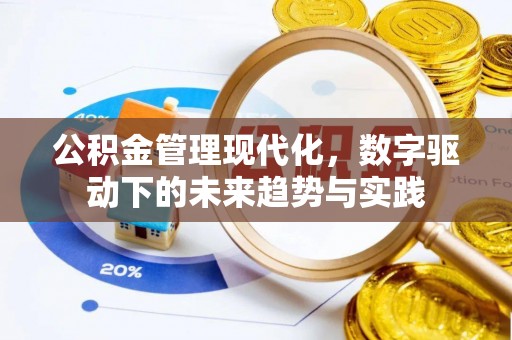 双河公积金管理现代化，数字驱动下的未来趋势与实践
