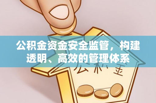 双河公积金资金安全监管，构建透明、高效的管理体系