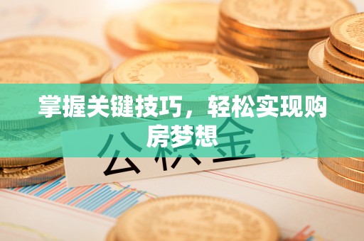 双河掌握关键技巧，轻松实现购房梦想