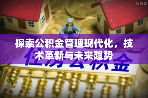 双河探索公积金管理现代化，技术革新与未来趋势