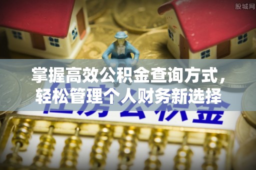 双河掌握高效公积金查询方式，轻松管理个人财务新选择