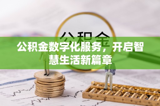 双河公积金数字化服务，开启智慧生活新篇章
