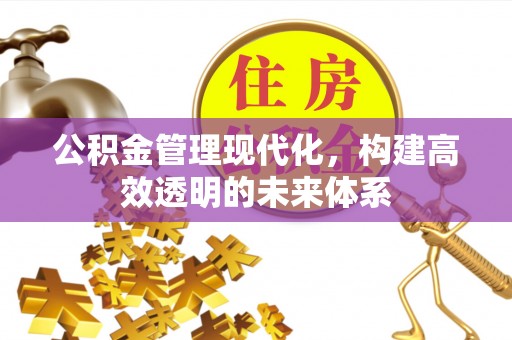 双河公积金管理现代化，构建高效透明的未来体系