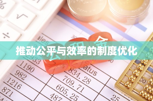双河推动公平与效率的制度优化