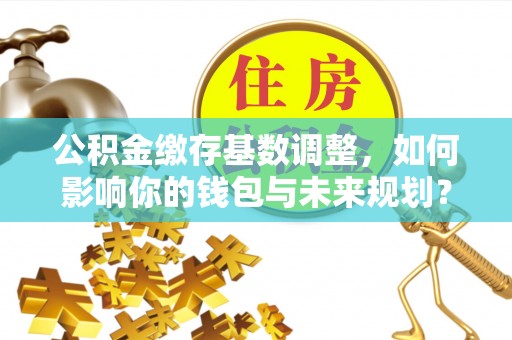 双河公积金缴存基数调整，如何影响你的钱包与未来规划？