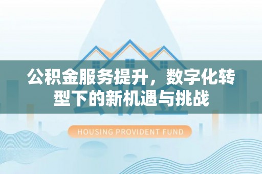 双河公积金服务提升，数字化转型下的新机遇与挑战