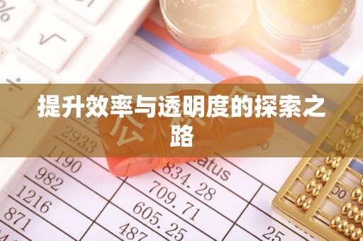 双河提升效率与透明度的探索之路