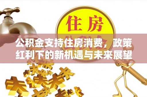 双河公积金支持住房消费，政策红利下的新机遇与未来展望