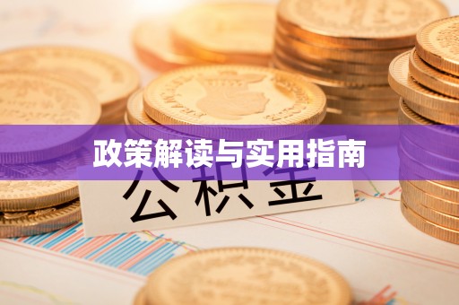 双河政策解读与实用指南
