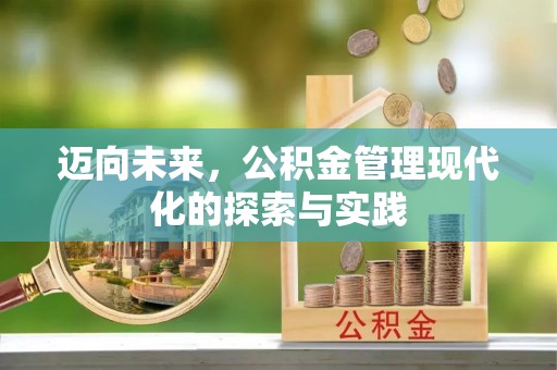 双河迈向未来，公积金管理现代化的探索与实践