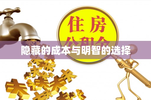 双河隐藏的成本与明智的选择