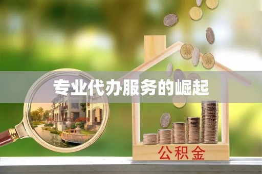 双河专业代办服务的崛起
