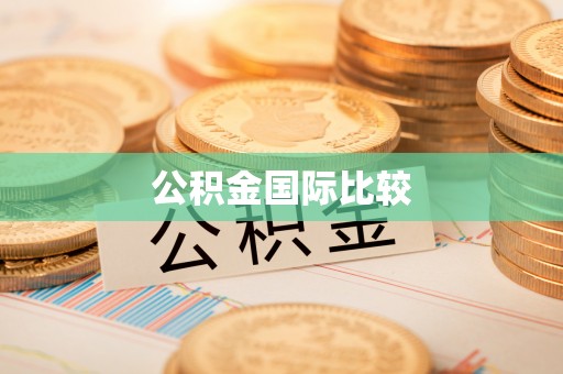 双河公积金国际比较