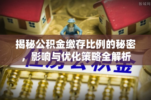 双河揭秘公积金缴存比例的秘密，影响与优化策略全解析