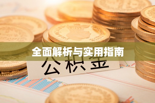 双河全面解析与实用指南
