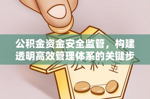 双河公积金资金安全监管，构建透明高效管理体系的关键步骤