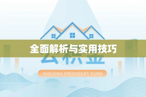 双河全面解析与实用技巧