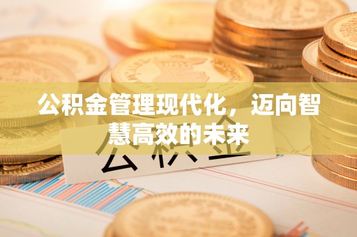 双河公积金管理现代化，迈向智慧高效的未来