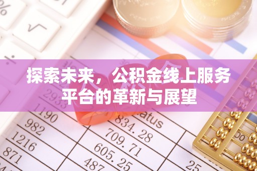 双河探索未来，公积金线上服务平台的革新与展望