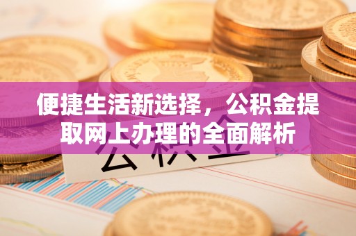 双河便捷生活新选择，公积金提取网上办理的全面解析