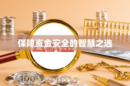 双河保障资金安全的智慧之选