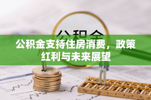 双河公积金支持住房消费，政策红利与未来展望