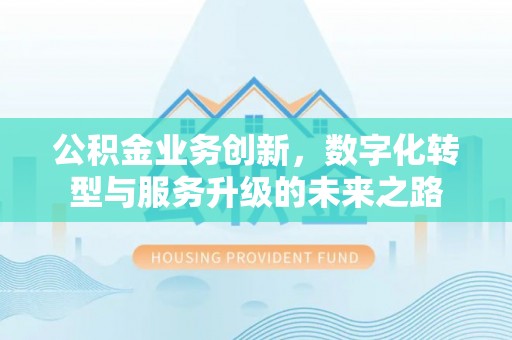 双河公积金业务创新，数字化转型与服务升级的未来之路