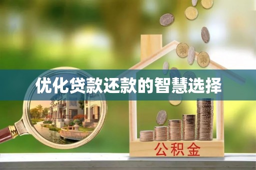 双河优化贷款还款的智慧选择