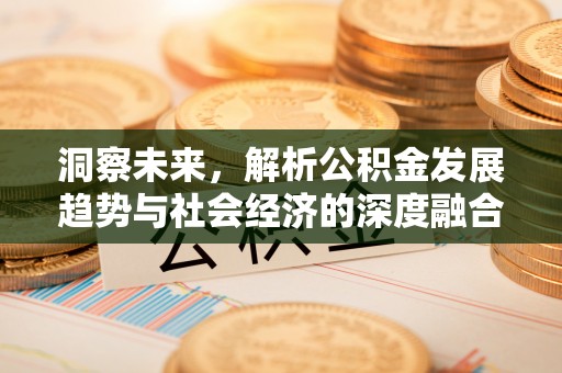 双河洞察未来，解析公积金发展趋势与社会经济的深度融合