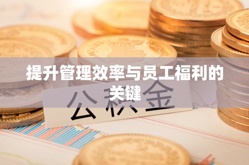 双河提升管理效率与员工福利的关键
