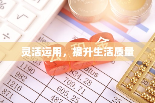 双河灵活运用，提升生活质量
