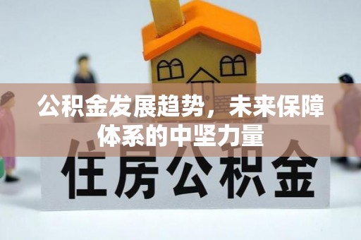 双河公积金发展趋势，未来保障体系的中坚力量