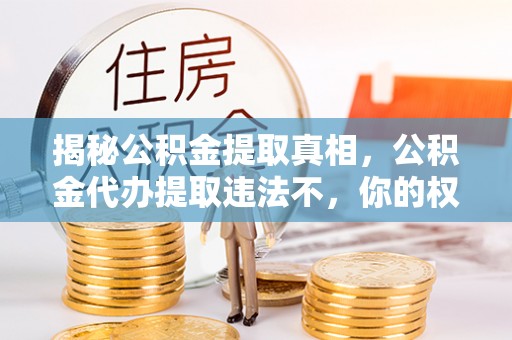双河揭秘公积金提取真相，公积金代办提取违法不，你的权益如何保障？
