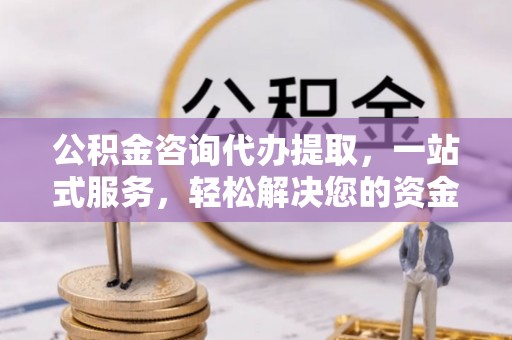 双河公积金咨询代办提取，一站式服务，轻松解决您的资金需求