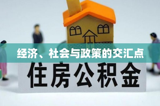 双河经济、社会与政策的交汇点