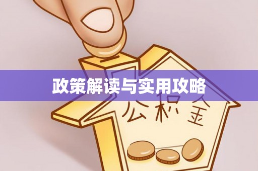 双河政策解读与实用攻略