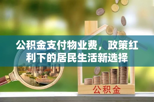 双河公积金支付物业费，政策红利下的居民生活新选择