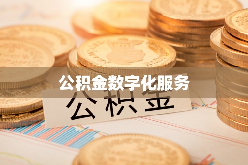 双河公积金数字化服务