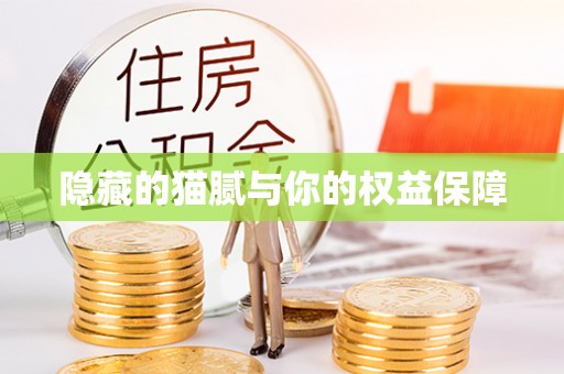 双河隐藏的猫腻与你的权益保障